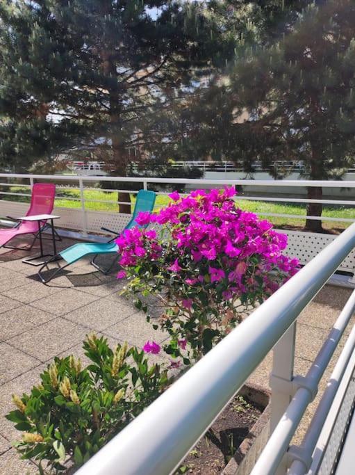 Comme Chez Vous Διαμέρισμα Στρασβούργο Εξωτερικό φωτογραφία